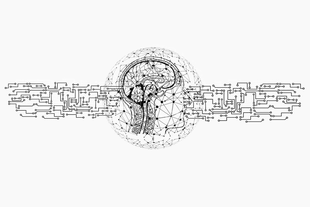 ai, artificial intelligence, intelligence, network, programming, web, brain, computer science, technology, printed circuit board, information, data, data exchange, digital, communication, neuronal, social media, cut out, artificial intelligence, artificial intelligence, artificial intelligence, artificial intelligence, artificial intelligence, brain